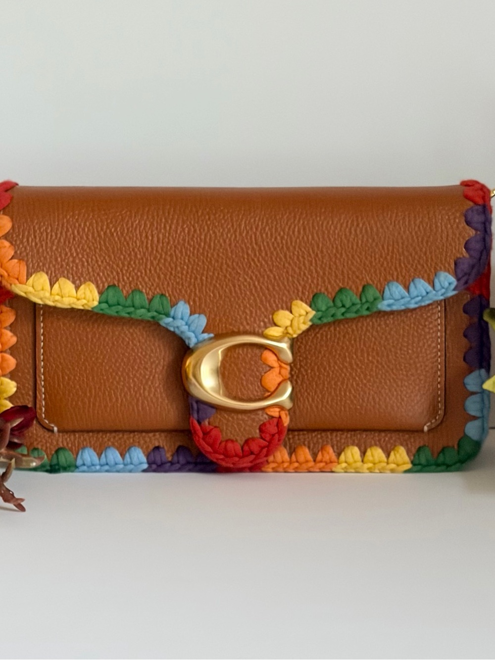Coach Pride Tabby Chain Clutch
